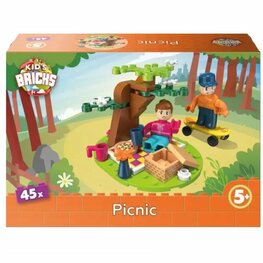 Kids Bricks Picnic 45pcs